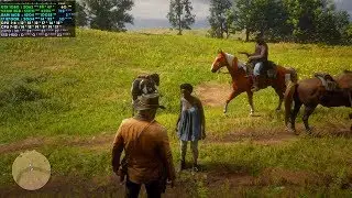 Red Dead Redemption 2 - i7 8700K - GTX 1080 - 1440p