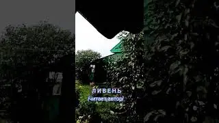 СТРИЖИ ПОШЛИ АТАКОЙ НА ГРОЗУ 