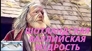 ШОТЛАНДСКАЯ И ВАЛЛИЙСКАЯ МУДРОСТЬ