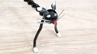 A Cat That Walks On Its Own.