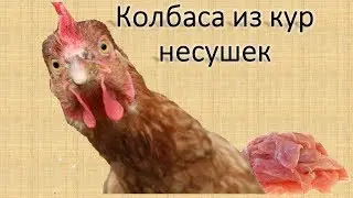 Дешевая домашняя колбаса из курицы несушки.