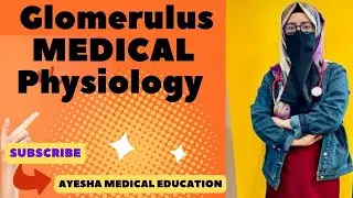 Renal corpuscle | Glomerulus   Functional anatomy | NEPHRON | Renal physiology and Skin