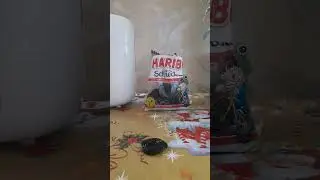 Обзор на мармелад 'HARIBO' Lakritz schnechen