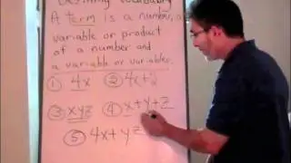 Finding the Number of Terms in an Expression