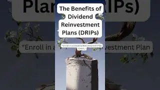 Automatically Invest Dividends Back into Stocks? (DRIP)