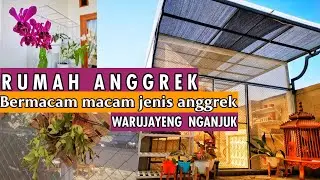ESJE ORCHID - RUMAH ANGGREK WARUJAYENG NGANJUK