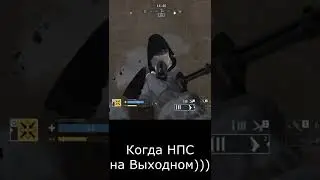 #Калибр