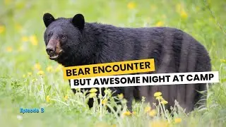 Quebec Road Trip and Bear Encounter | Canoeing & Camping at La Maurice National Park
