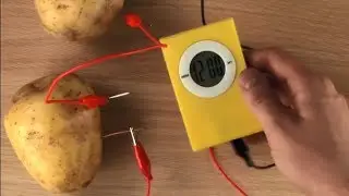 Как из картофеля сделать батарейку для часов (домашний эксперимент)