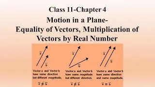 3 Motion in a Plane- Equality of Vectors, Multiplication of Vectors- Class 11-Chapter 4-NEET/JEE