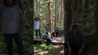 Pinball Machine from a forest 🤟