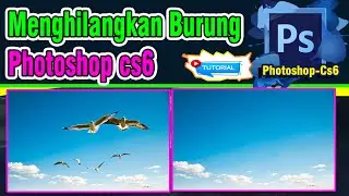 Menghilangkan Burung di Photoshop #photoshopcs6