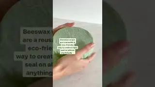 Plastic wrap vs Beeswax wrap... which is better? 🧐🐝