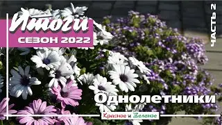 Цветочные композиции в корзинах и горшках для сада. Часть2