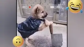 Isso só pode ser Brincadeira...kkkkkk