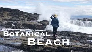 Botanical Beach, Vancouver Island Hiking