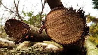 iPhone 4S 1080p HD Video Test
