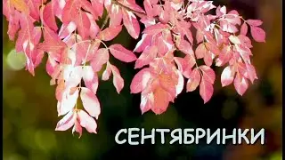 Песня Сентябринки. Дети поют. МьюзиСтайл.