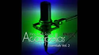 Dennis Ferrer feat. Mia Tuttavilla - Touched The Sky (Acappella)