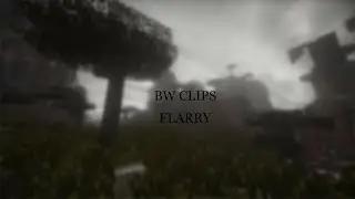 BW Clips + Моменты с Турнира.
