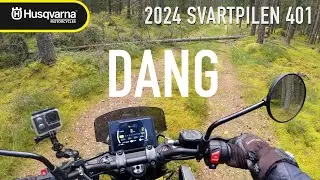 2024-2025 Husqvarna Svartpilen 401 - Forest Roads