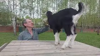Милан