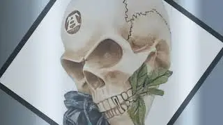 The Vault by Alchemy Black Rose Alchemist Skull at NicheNoire