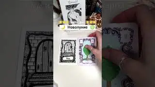 Новолуние ♍ карта дня #волшебныекарты #картадня #olgacards #гадание #таро