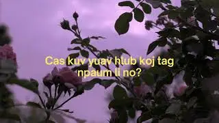 leedong- Nas Ej Suav (Official Lyric Video)