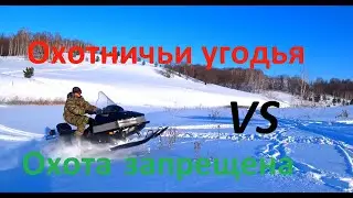 Сравнение территорий с разрешенной  и запрещенной охотой