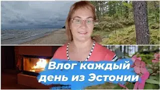 Влог каждый день.Дачные блоги.Чудское озеро.Осенние будни.Плохие новости.Заряжаемся позитивом.Влог