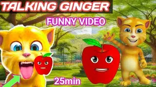 talking ginger funny videos || 🐈🙀😹😻