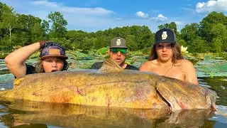 Giant Catfish caught by hand in iLLinois!!