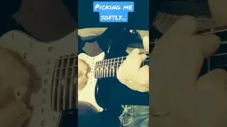 Desperado by Eagles with HYBRID PICKING #eagles