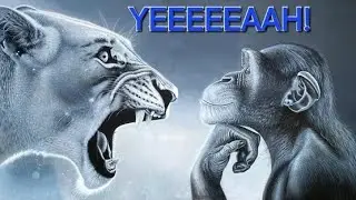 YEEEEEAAH! 🦁