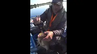 Эта прикормка без рыбы не оставит