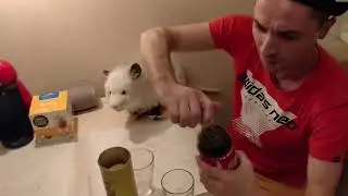 Coca Cola Tribute