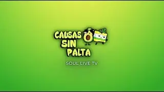 INTRO | CAUSAS SIN PALTA