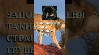 Пацанские цитаты из WarCraft #пацанскиецитаты #креативность #духовность #философия #народнаямудрость