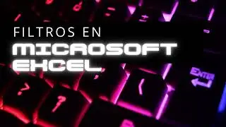 FILTROS DE EXCEL COMO CONSULTA DE INFORMACIÓN