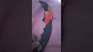 19 октября 2023 г.