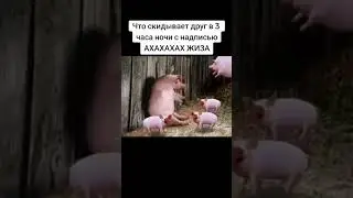 1 апреля 2024 г.