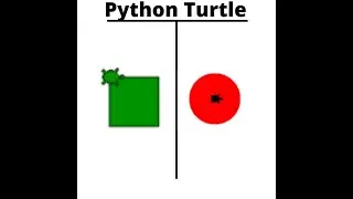how to draw a square and circle in python in turtle graphics