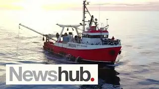 Coastguard scours seas after fisherman fell overboard while unlikely wearing lifejacket | Newshub