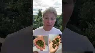 ❤️КАК УБРАТЬ ПАРАЗИТОВ ИЗ ПЕЧЕНИ❤️