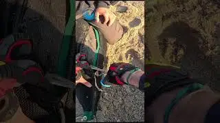 Seal Rescued From Ball Of Fishing Line #shorts