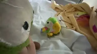 Chirstmas plushie adventures: Where’s JibJib?