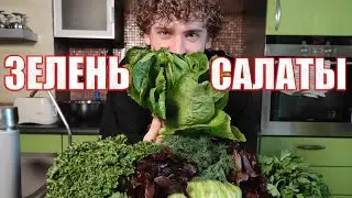 Как хранить зелень и салаты, а так же как делать заготовку из них?