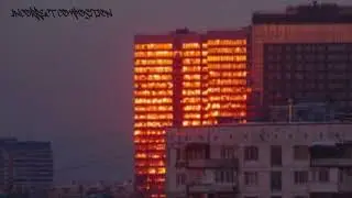 УННВ х Рыночные отношения х Черная Экономика