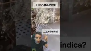 Humo inmóvil, ¿Qué indica?. #curiosidades #supervivencia #sabiasque